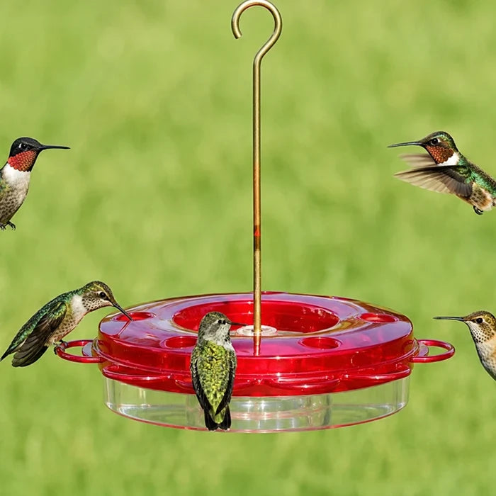 12 oz. Hummerfest Hummingbird Feeder with multiple feeding ports, hosting five hummingbirds, features rain overflow, ant moat, and clear basin for easy nectar viewing.