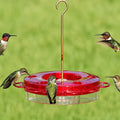 12 oz. Hummerfest Hummingbird Feeder with multiple feeding ports, hosting five hummingbirds, features rain overflow, ant moat, and clear basin for easy nectar viewing.