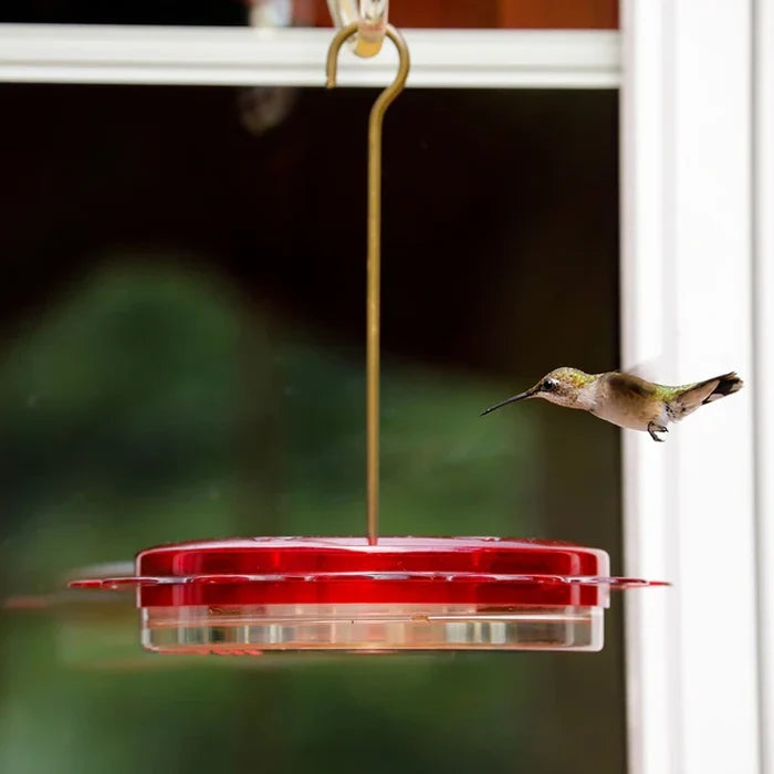 12 oz. Hummerfest Hummingbird Feeder with a hovering hummingbird, features 6 feeding stations, clear nectar view, rain overflow, ant moat, and dual mounting options.