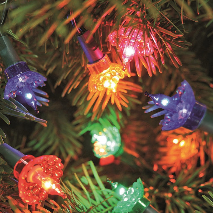 40 Pickwick Shade Lights Multi