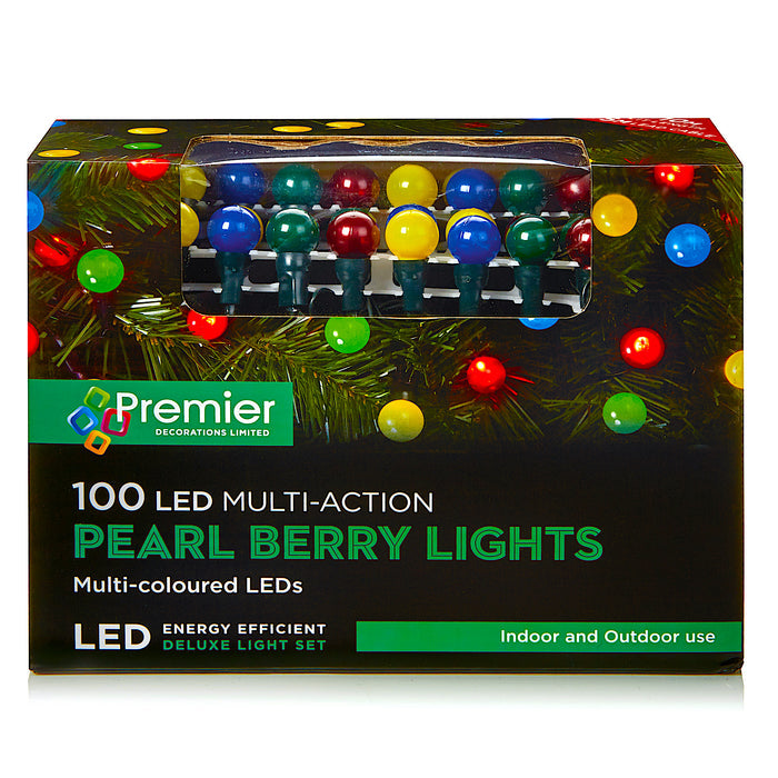 50 Berry Lights Multi Coloured