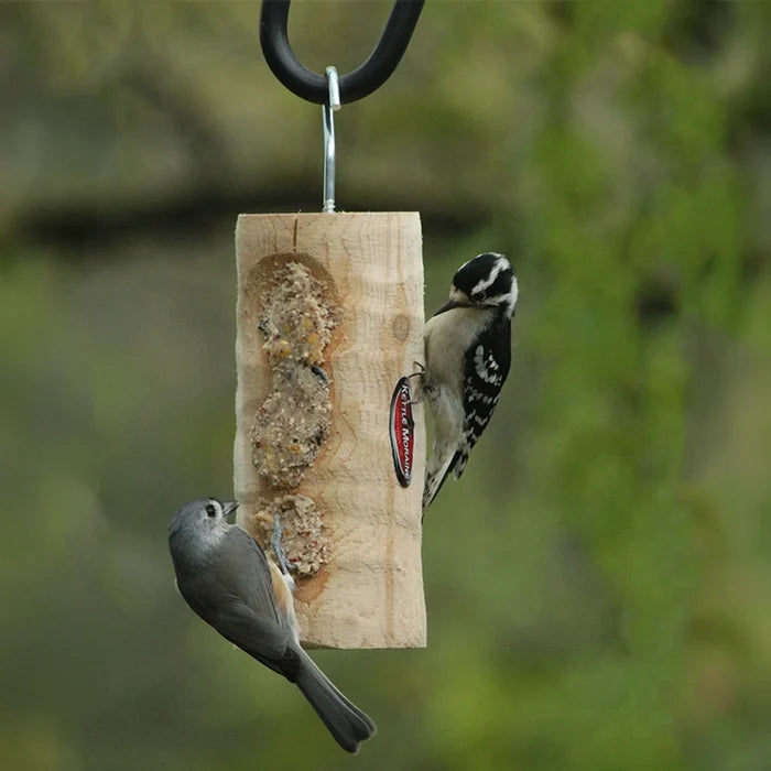 Woodpecker and songbird using a natural log suet feeder in a backyard setting.