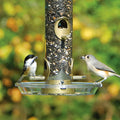 Aspects Round Seed Tray attached to bird feeder, catching scattered seed. Two birds perched on the feeder, utilizing built-in perching space.
