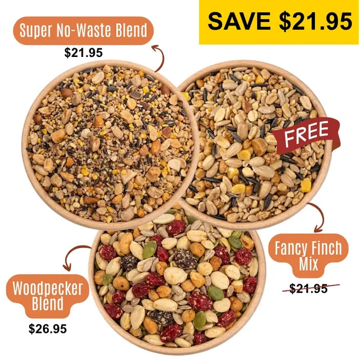 3 Bowls of birdseed from a birds eye view, specifically: Fancy Finch Mix, Super No-Waste Blend, and Woodpecker Blend