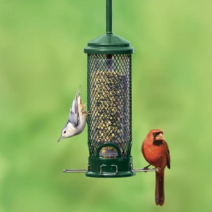 Brome Squirrel Buster Mini bird feeder with a bird perched on it, showcasing its squirrel-proof design and multiple feeding ports for bird access.