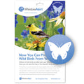 Butterfly WindowAlert Decals: Yellow bird perched on a flower, designed to prevent birds from striking windows with special UV reflective coating.