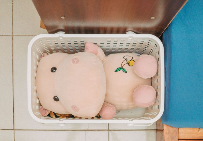 Clear plastic storage box with contents visible