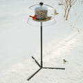 Droll Yankees Jagunda Squirrel-Proof Bird Feeder with Auger: Birds feeding at a squirrel-proof hopper feeder in the snow, featuring an adjustable seed valve and built-in bottom baffle.