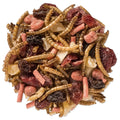 Duncraft Berry Delight Trail Mix Wild Bird Food in a 7 oz. resealable bag, featuring dried mealworms and fruit pieces for feeding bluebirds and fruit-eating birds.