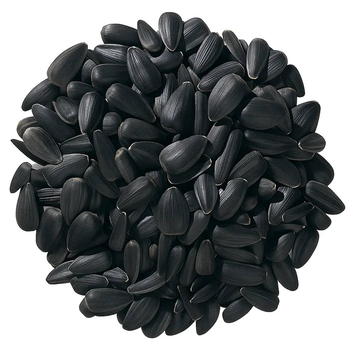 Duncraft Black Oil Sunflower Wild Bird Seed, 5-lb bag, features a pile of black sunflower seeds, ideal for small birds with its thin shell and high energy.