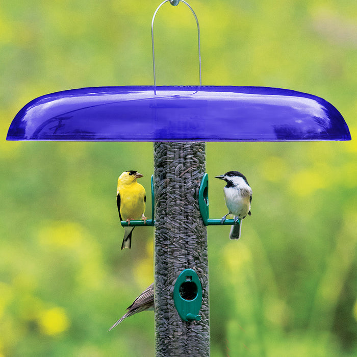Duncraft Blue Slot Baffle atop a clear tube feeder with goldfinch and chickadee perched, keeping seeds dry beneath its broad, cobalt-blue rain guard.