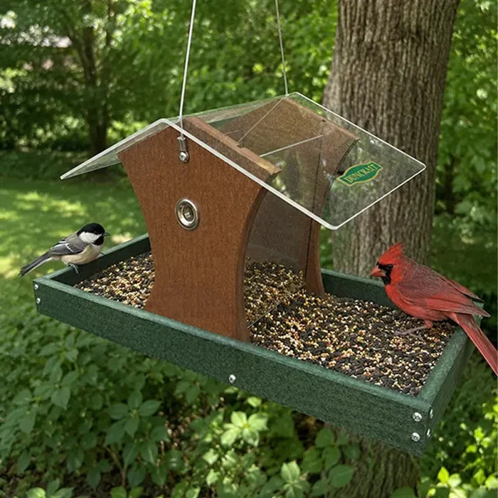 Bird feeder with birds on a tree branch and a woodland background.