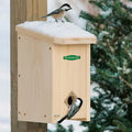 Duncraft Convertible Roost House with snow-dusted roof; two chickadees explore. Provides warm shelter in winter, converts to nesting box in spring.