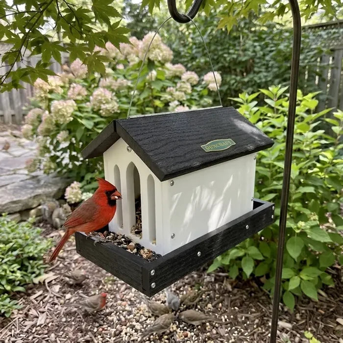 Red cardinal bird perched on a white bird feeder with black roof in a garden setting.