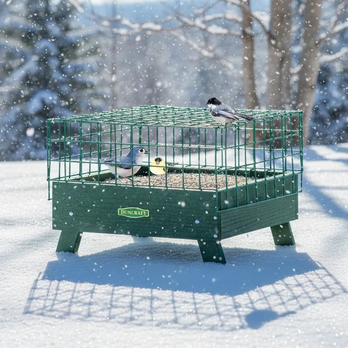 Bird feeder platform feeder on the ground with birds on a snowy day eating seed.