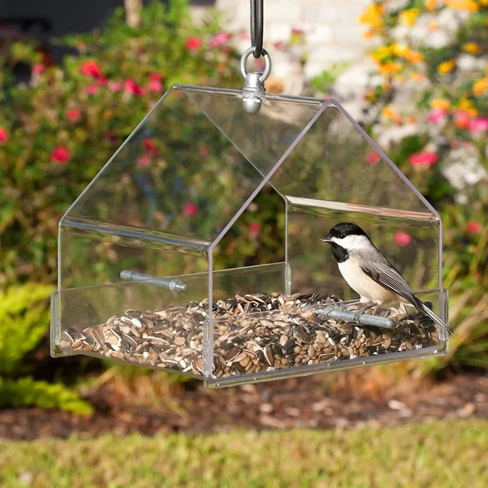 Duncraft Hanging Chalet bird feeder showing a bird perched inside. Clear plastic design for unobstructed viewing, with two perches and ample space for various bird foods.