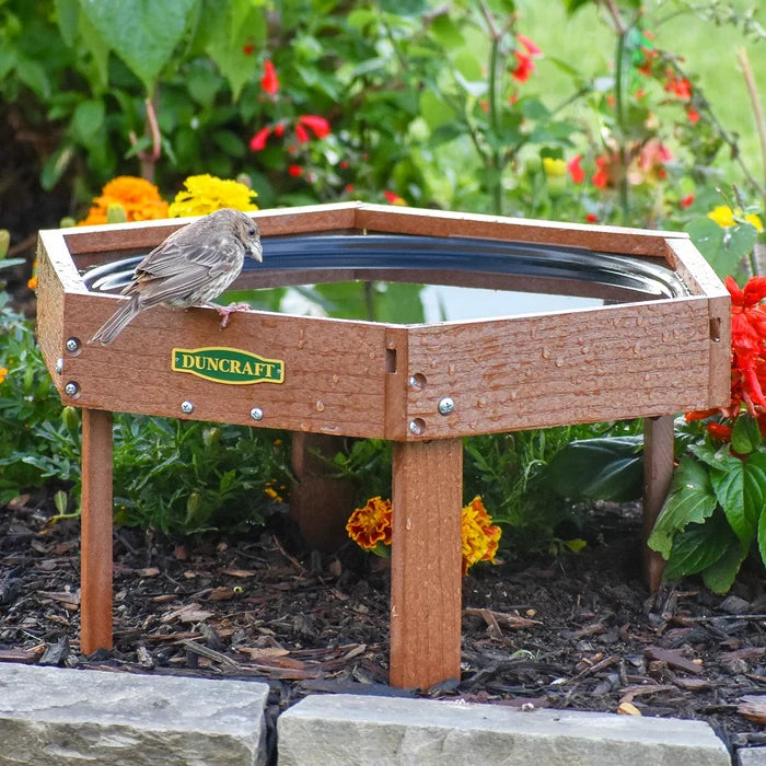 Bird baths for providing fresh water to birds.