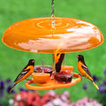 Orange bird feeder with three birds perched on it against a green background