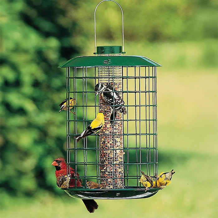 Duncraft Peanut & Sunflower Mesh Metal Selective: Green cage-style feeder with seed block, hosting goldfinches, a cardinal, and a woodpecker. Squirrel-proof design with fly-through openings.