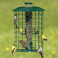 Duncraft Squirrel Proof Selective: Green wire-caged tube feeder with mixed seeds, attracting six songbirds, including goldfinches and a Chickadee, feeding through six ports.