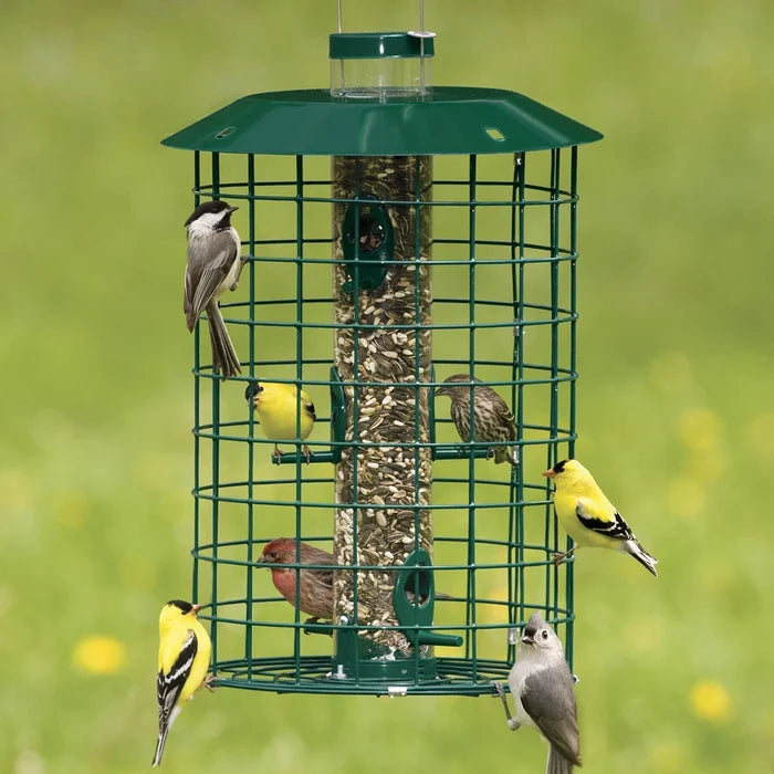 Duncraft Squirrel Proof Selective: Green wire-caged tube feeder with mixed seeds, attracting six songbirds, including goldfinches and a Chickadee, feeding through six ports.