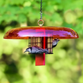 Duncraft Suet Shield™ Bird Feeder: Two songbirds feed on suet blocks in a wire cage under an orange rain guard, designed to deter squirrels and larger birds.