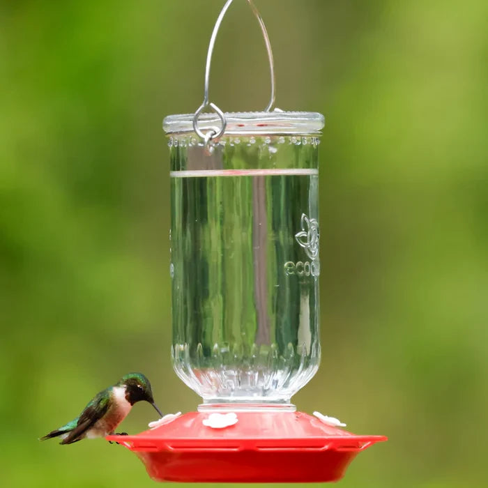 EcoCycle Ruby Roost Recycled Glass Hummingbird Feeder