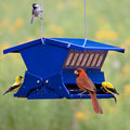 Electric Blue Absolute II bird feeder with seed, visited by a cardinal, goldfinches, and a chickadee. Steel construction with weight-activated perches.
