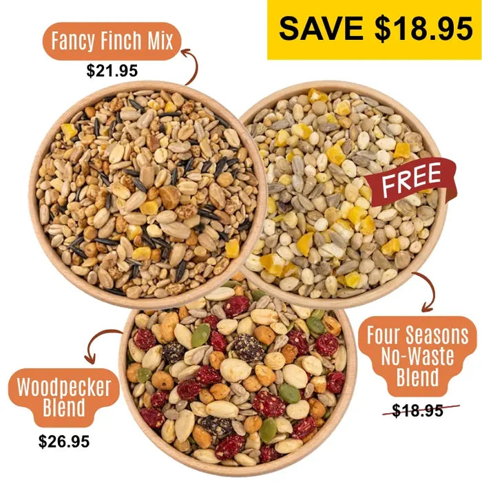 3 Bowls of birdseed from a birds eye view, specifically: Woodpecker Blend, Fancy Finch Mix, and Four Seasons No-Waste