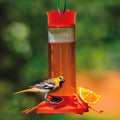 Fruit Trio Oriole Nectar Feeder with a bird perched on it, featuring attachments for orange slices and jelly, and four feeding ports.