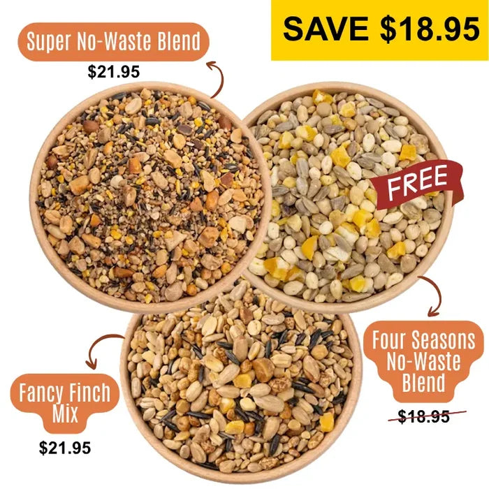 3 Bowls of birdseed from a birds eye view, specifically:  Super No-Waste Blend, Four Seasons No-Waste, and Fancy Finch Mix