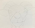 Goat Canvas