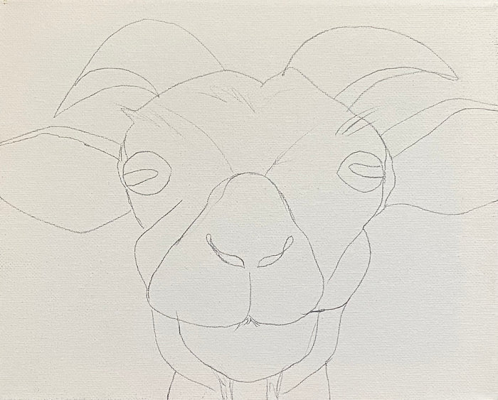 Goat Canvas