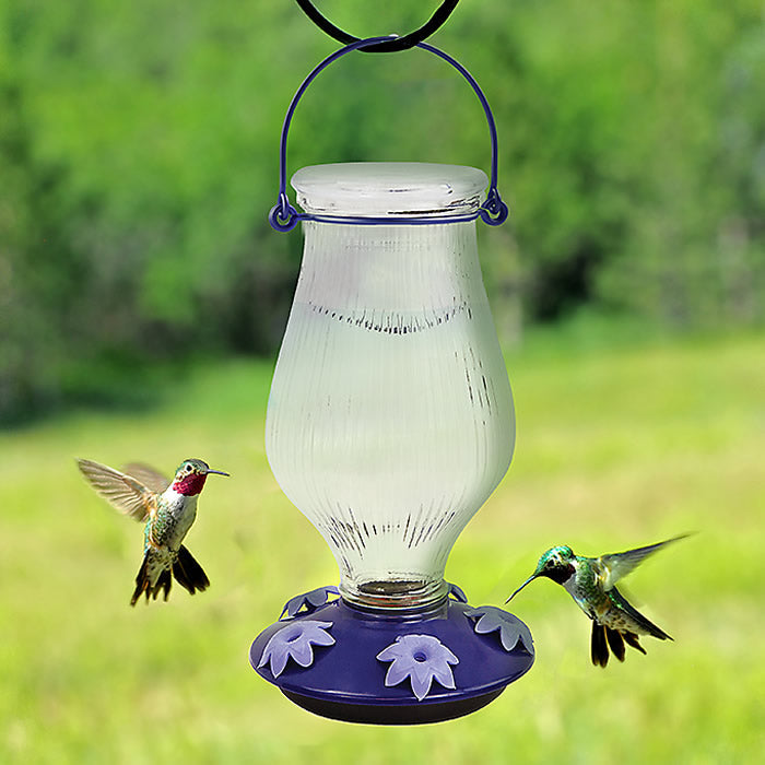Grand Oasis Top-Fill Glass Hummingbird Feeder with five petunia-shaped feeding ports, a clear glass reservoir, and a purple plastic base, attracting hummingbirds while deterring bees.