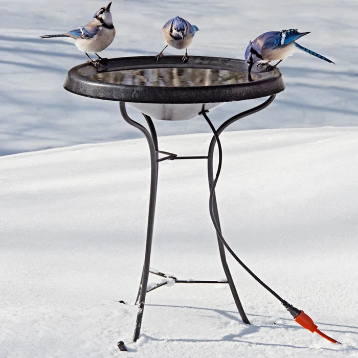 Heated Bird Bath with Pedestal in snow, featuring a metal heater on a tripod stand, three blue jays drinking from unfrozen water, and an orange extension cord.