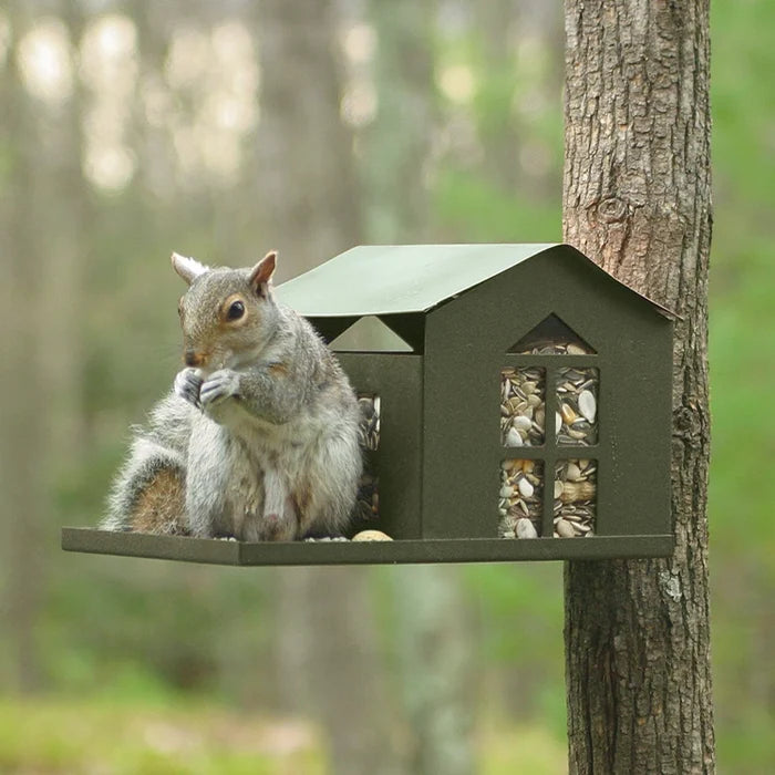 Metal Squirrel Feeder with squirrel lifting roof to access food, featuring a built-in porch area, post-mount, and rear-mount options.