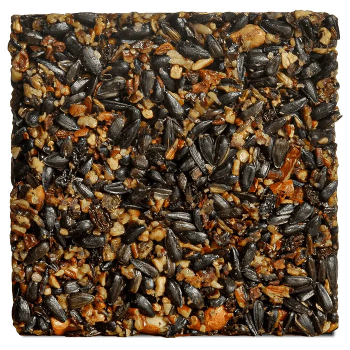 Woodpecker Feast Block Small, Set of 3: Square suet cakes with black-oil sunflower seeds, peanuts, and grains, designed for backyard feeders to attract woodpeckers.