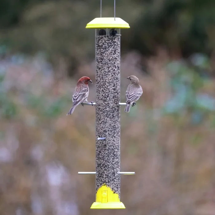 Nature's Way Bottoms Up Metal Thistle Finch Bird Feeder with two finches perched, showcasing dual direction feeding design and durable construction.