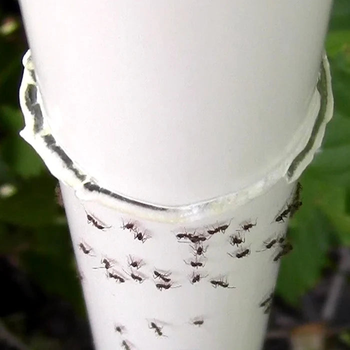 Nectar Fortress Natural Hummingbird Ant Repellent applied near a PVC pipe joint with ants clustering, showcasing its effectiveness in repelling ants outdoors.