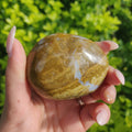 Ocean Jasper Palm Stone (#12) - Simply Affinity