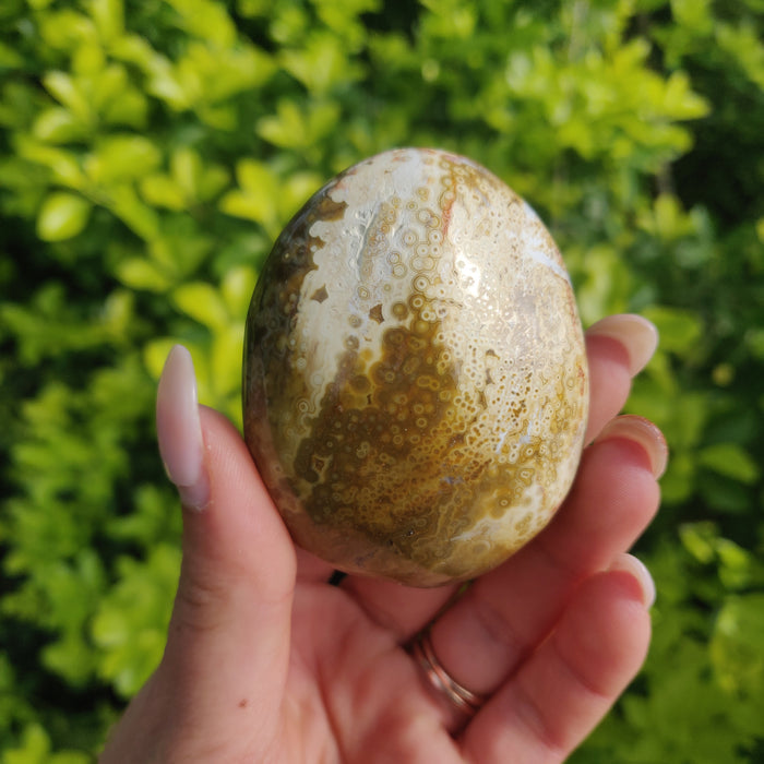Ocean Jasper Palm Stone (#12) - Simply Affinity