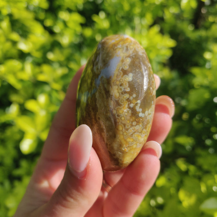 Ocean Jasper Palm Stone (#12) - Simply Affinity