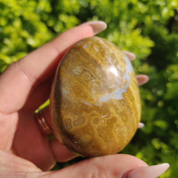 Ocean Jasper Palm Stone (#12) - Simply Affinity