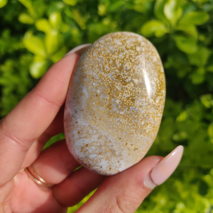 Ocean Jasper Palm Stone (#3) - Simply Affinity
