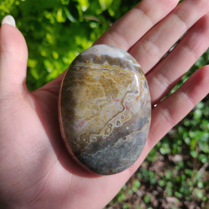 Ocean Jasper Palm Stone (#62) - Simply Affinity