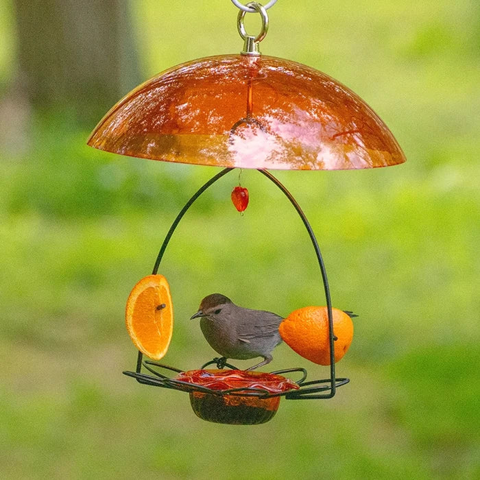 Oriole Flower Feeder with Orange Dome, featuring a glass dish for jelly and skewers with orange halves, attracts fruit-eating songbirds.