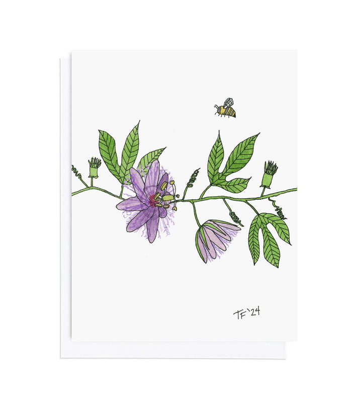 Passiflora Incarnata and Bee, Botanical