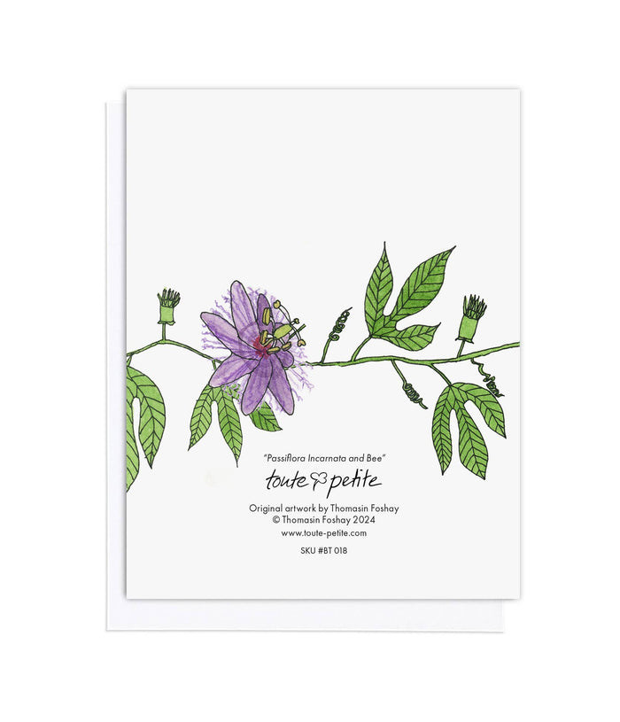 Passiflora Incarnata and Bee, Botanical