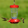 Perky's Finest Plastic Top Fill Feeder with 4 feeding stations, showing hummingbirds drinking from its lifelike red and white ports.