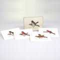 Peterson Bird Notecard Assortment 2: Set of 8 blank cards featuring detailed bird illustrations, including Rose-breasted Grosbeak and Painted Bunting, printed on recycled paper.